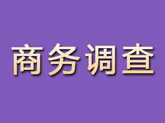 洛江商务调查